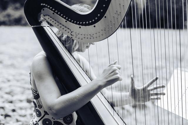 Virginie Kleitz Photographie - 1