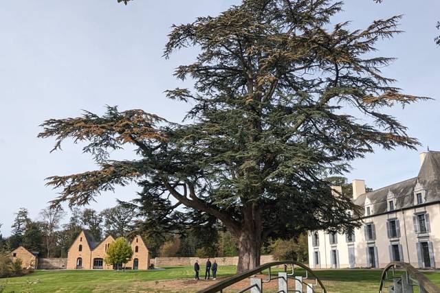 Domaine des Hayes 3