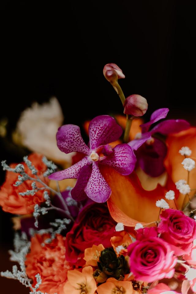 L'atelier de Daisy - 2
