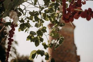 Marie-Cha' Photographie - 8