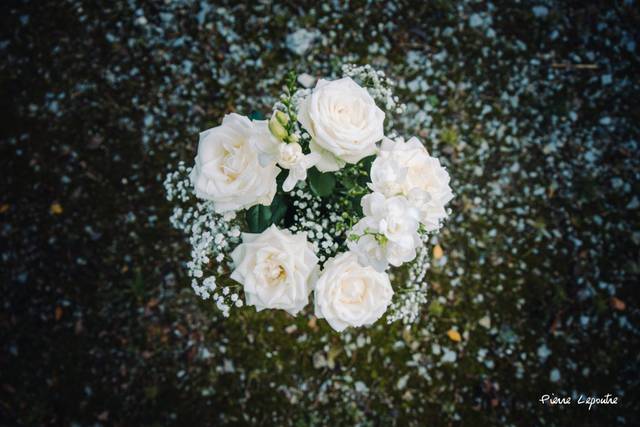 A fleur de pot 5