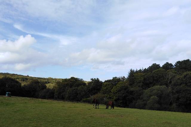 Domaine des Cavaliers 2