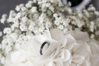 Virginie Kleitz Photographie - 20
