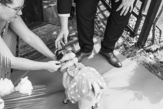 NjB Photographie - 4
