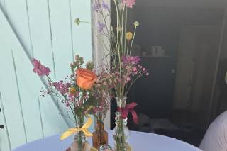 Pigne & Mimosa - 7