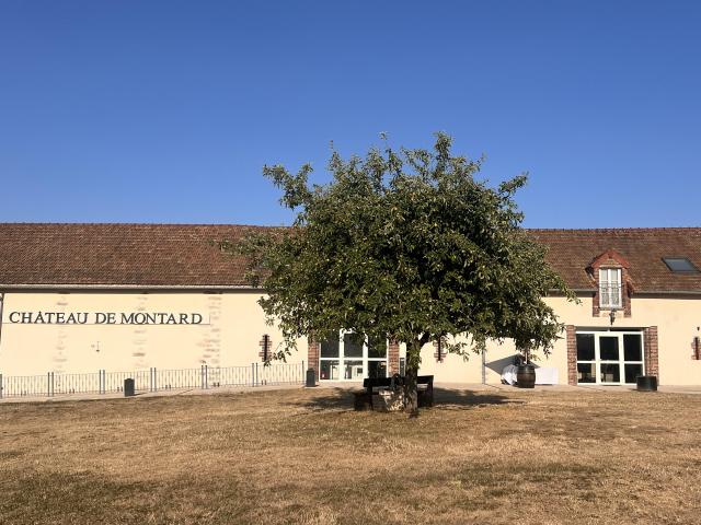 Château de Montard - 3