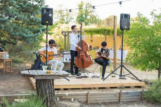 Rosemary Quartet - 5