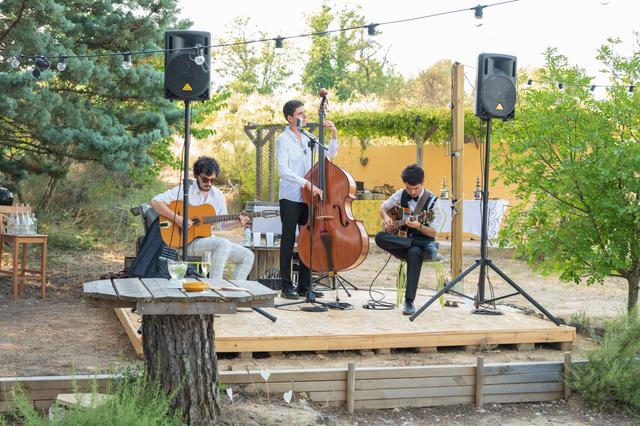 Rosemary Quartet - 2