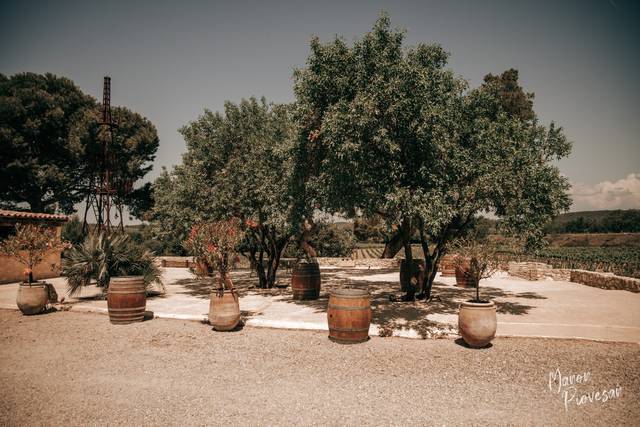 Domaine de L'Ale 5