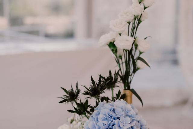 Potins de Fleurs 4