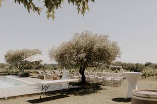 Domaine de Saint Amand - 32