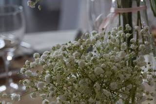 Le Perce Neige - 6