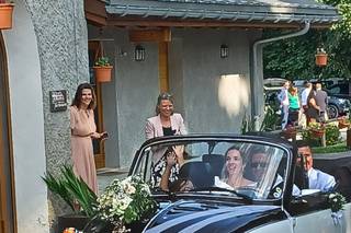 Wedding Cox - 8