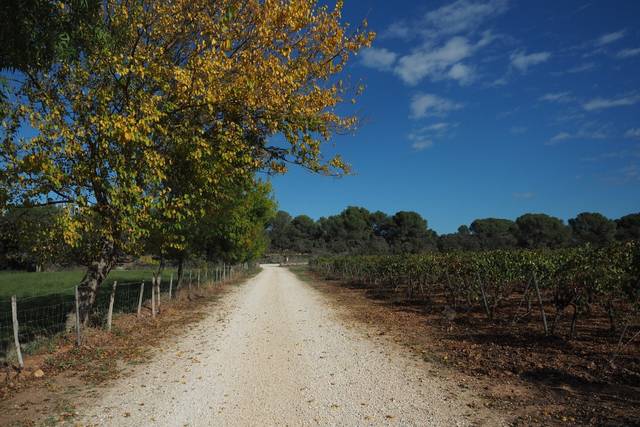 Salle les Berlettes - Domaine de Sulauze 3