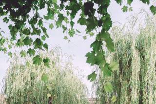 Le Clos des Mille Vies - 7