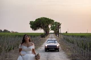 Château Pontac-Lynch - 5