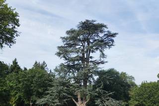 La Poignardière - 8