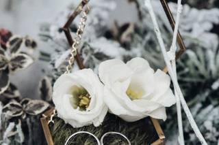 Marion Poteau Photographe - 11