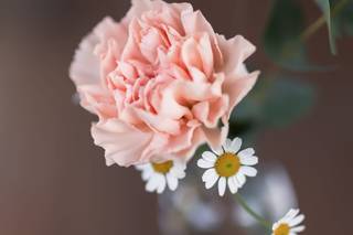 Les Fleurs de Suzanne - 6