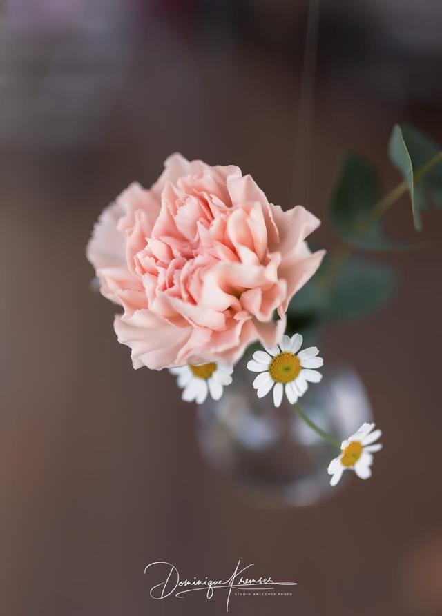 Les Fleurs de Suzanne - 1