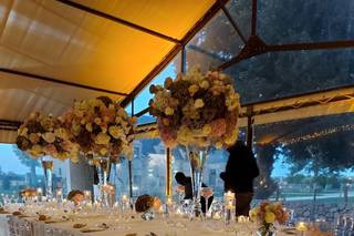 Kossaben Events - 7