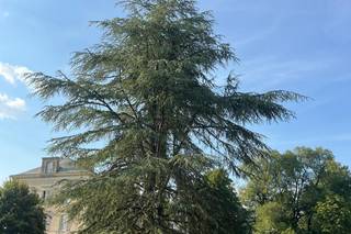 Château de la Brulaire - 6