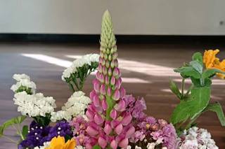 Les Fleurs de Kleg - 9