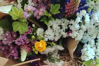 Les Fleurs de Kleg - 10