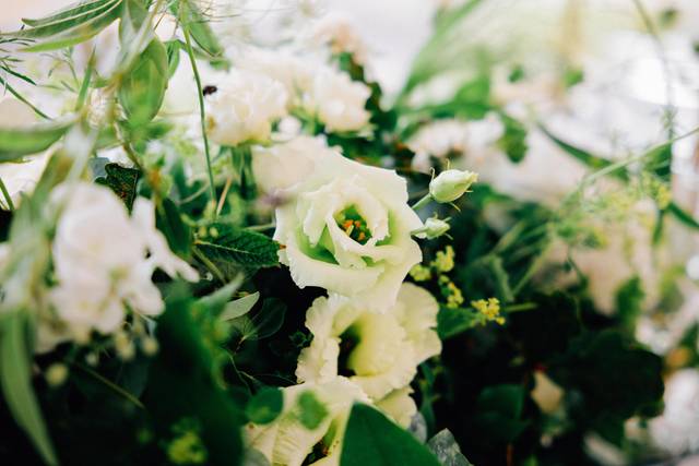 Dames Nature 2