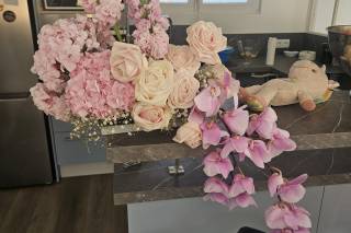 By Tdbc Event - 5