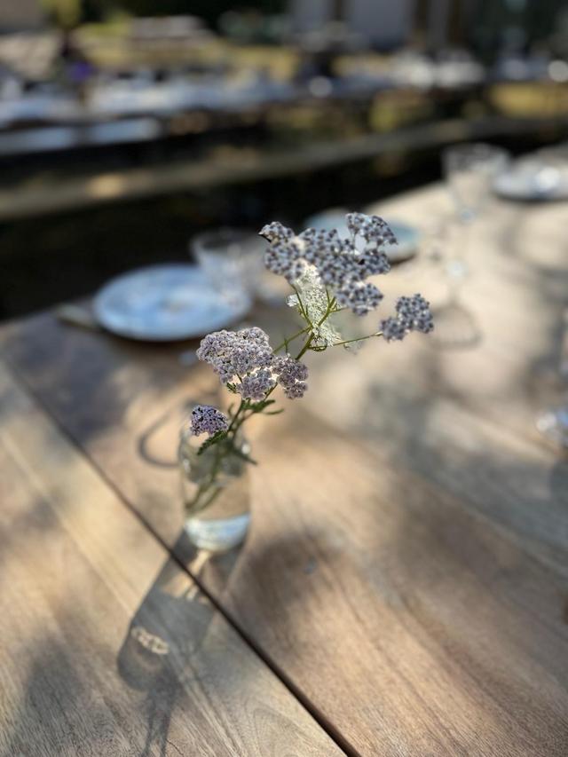 Atelier Corallo - 2