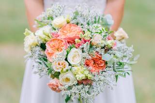 Avenir Photo Vidéo - 10