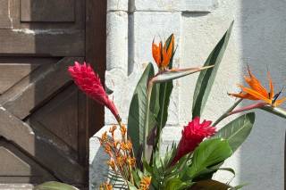 Maison Camélia - 15