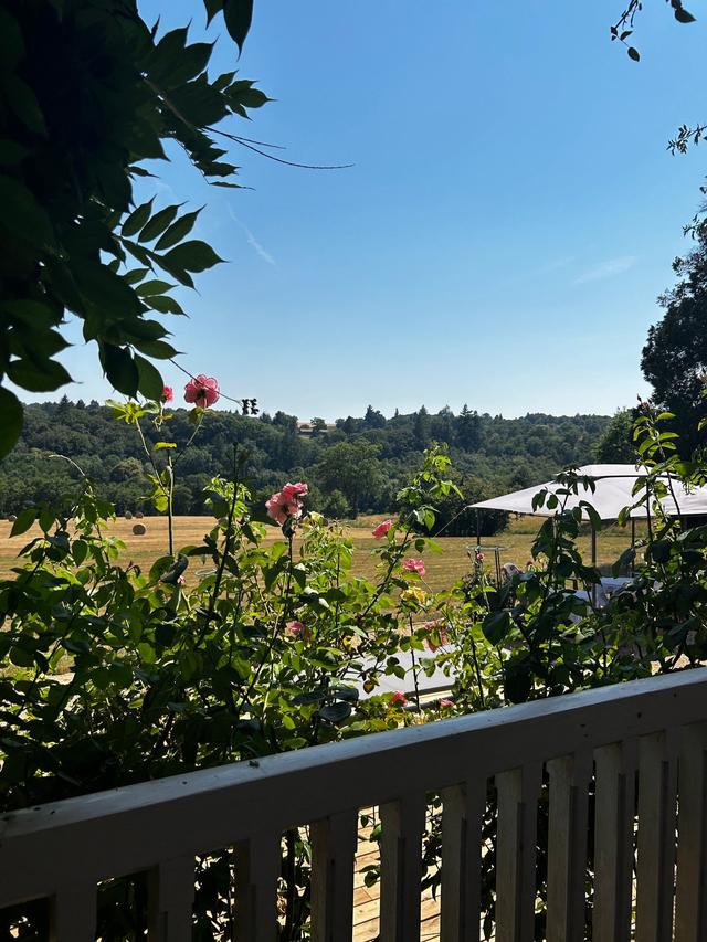 Manoir de Bois la Ribière - 2
