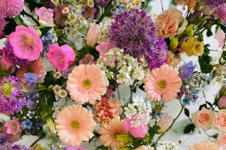 Le Jardin D'Amandine - 5
