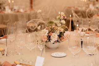 Maison Branche - 5