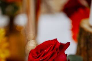 CB photographie - 5
