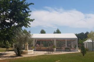 L'Oasis du Saule - 7