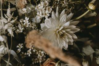 La Comédie des Fleurs - 12