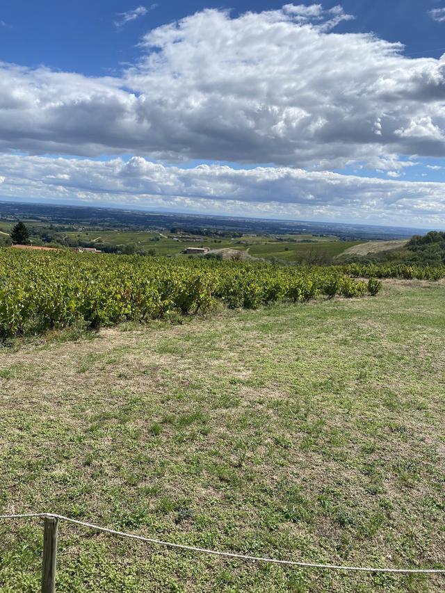 Ermitage de Brouilly - 2