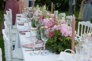 Amour Pivoine - 6