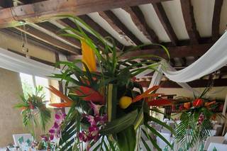 Art et Nature - 6