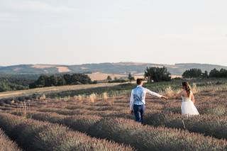 Domaine des Maillettes - 8
