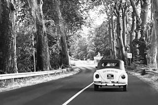 Loc-cars-collection - 6