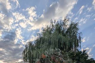 Atelier Hortensia et Marguerite - 5