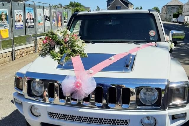 FG Limousine 4