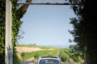 Annelaure Photographies - 13