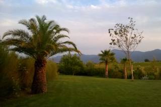 Clos des Aspres - 16