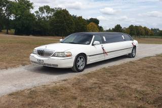 Sonolaserdance44 Limousine - 1