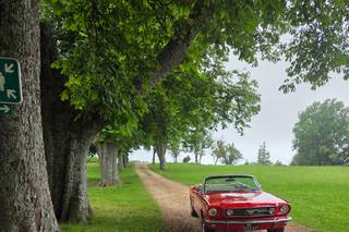 Domaine des Courmettes - 8